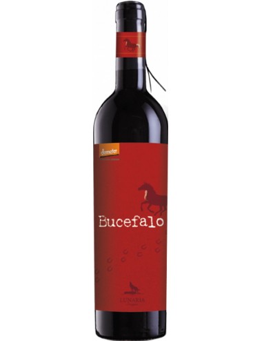 Bucefalo Rosso