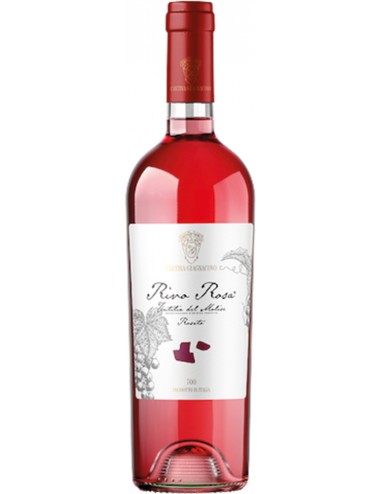 Rivo Rosa