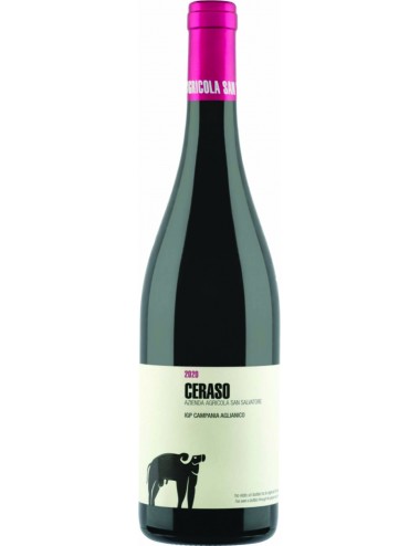 Ceraso