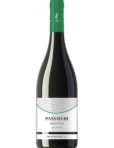 Passaturi