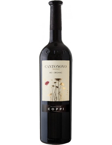 Cantonovo