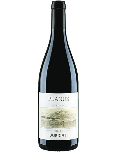 Planus Dolomiti