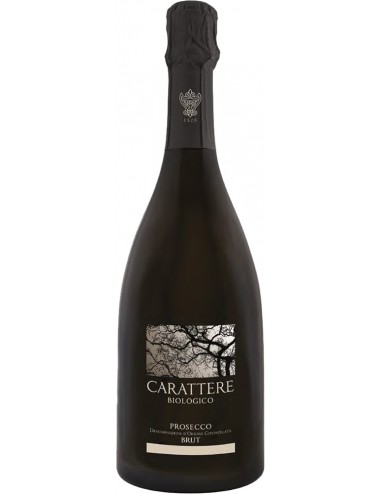 Carattere