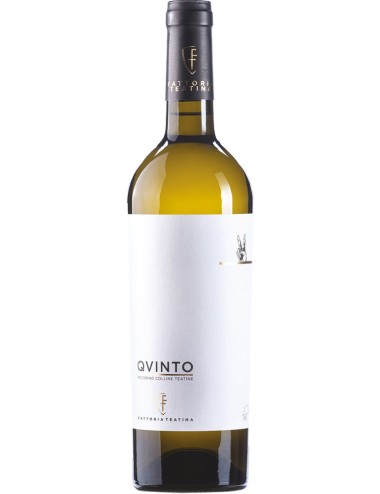 Quinto