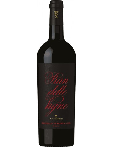 Pian delle Vigne