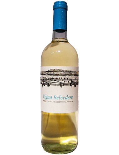 Vigna Belvedere Bianco