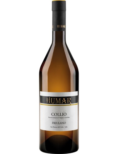 Friulano