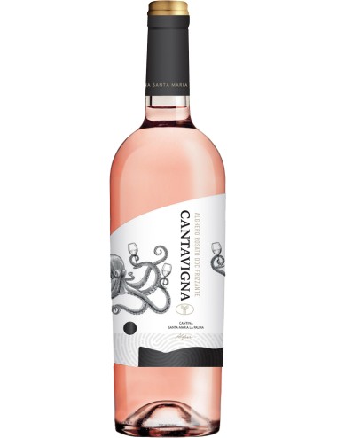 Cantavigna