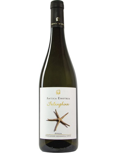 Falanghina