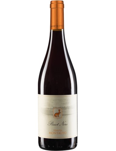 Pinot Nero