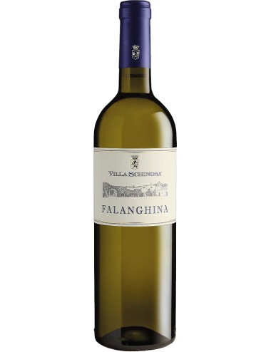 Falanghina